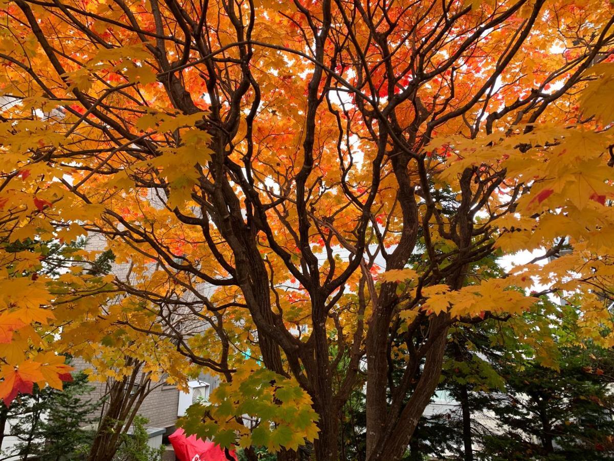 Hdo Sumikawa Villa 札幌市 エクステリア 写真